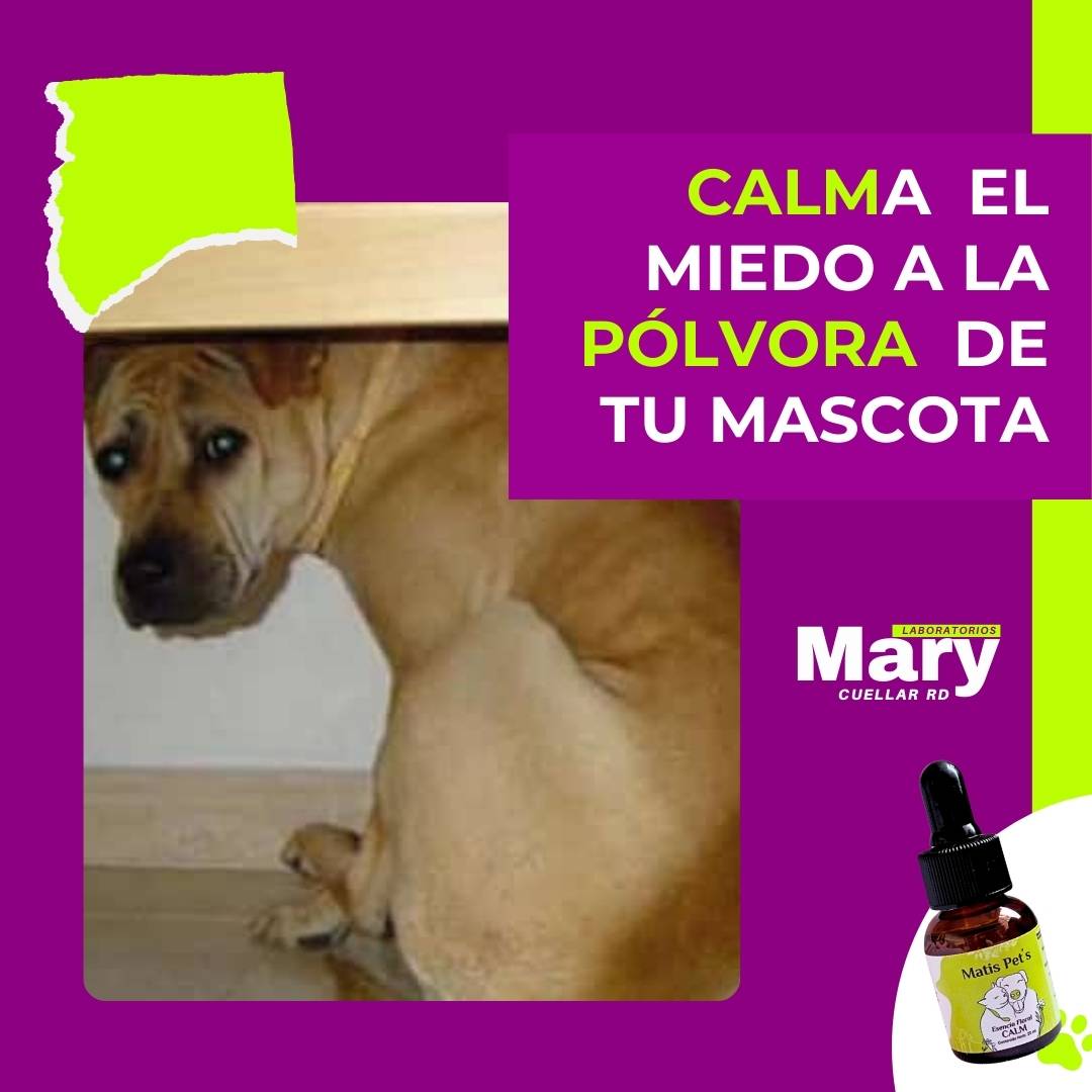 Gotas Para Calmar Agresividad de tu Perro o Gato - CALM