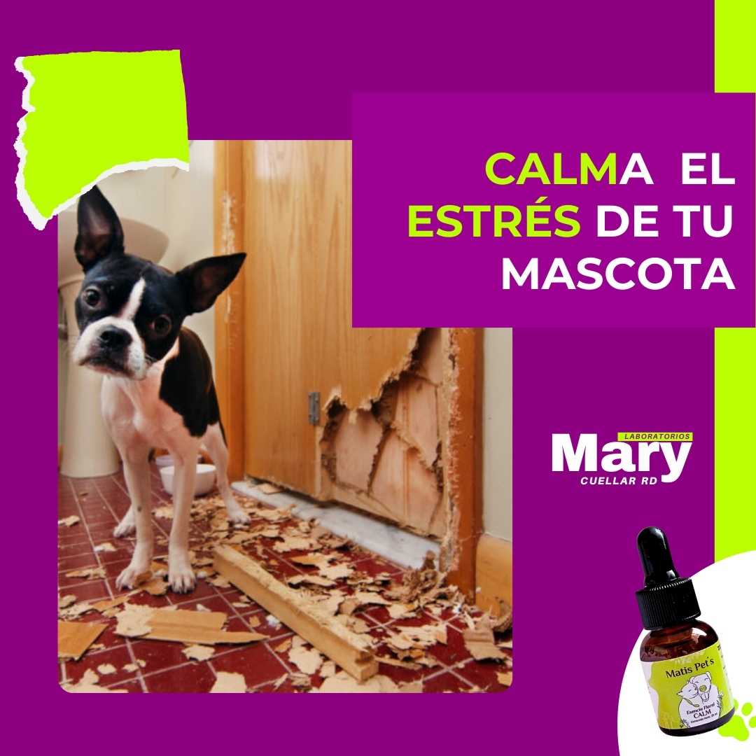 Gotas Para Calmar Agresividad de tu Perro o Gato - CALM