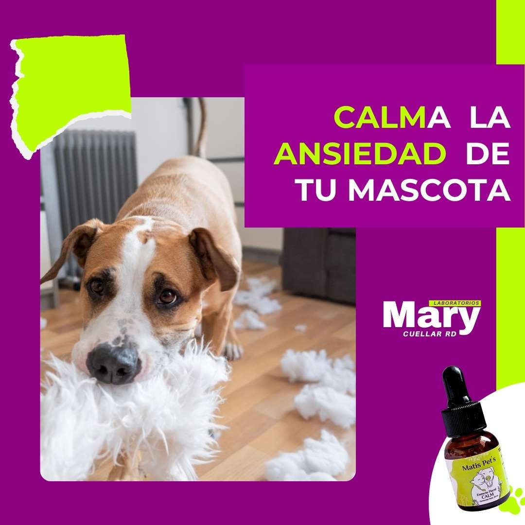 Gotas Para Calmar Agresividad de tu Perro o Gato - CALM
