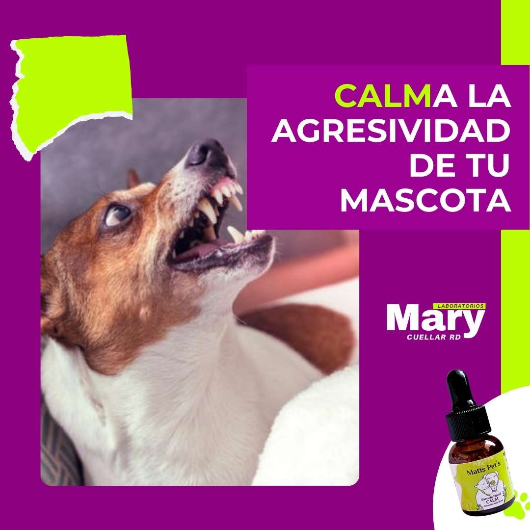 Gotas Para Calmar Agresividad de tu Perro o Gato - CALM