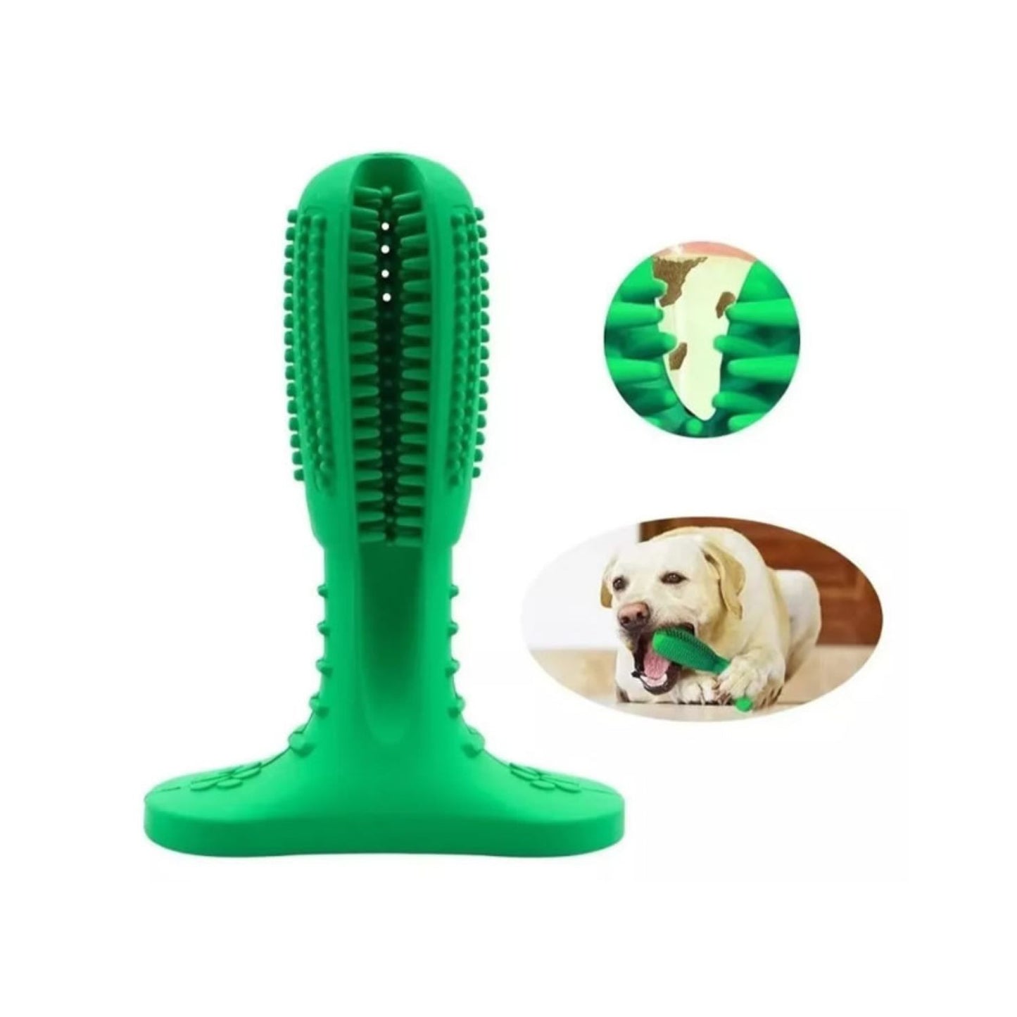 Cepillo de Dientes Para Perros Juguete Barra Limpieza Dental Color Verde