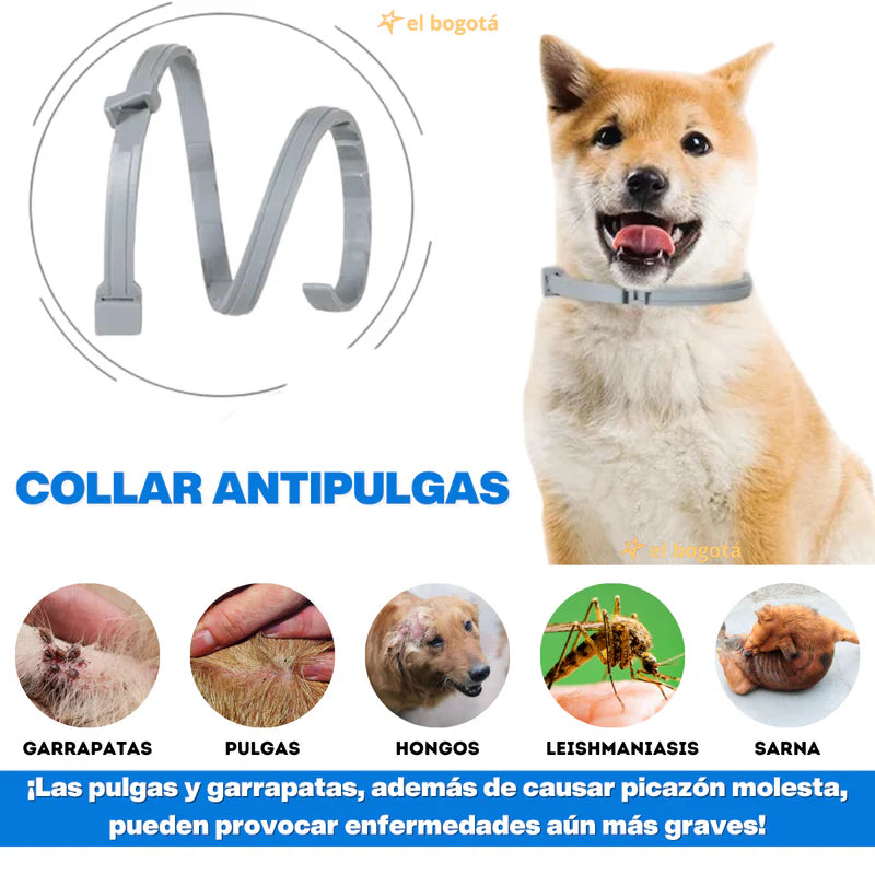 Collar Mascotas Anti Pulgas Parásitos Perro Gatos