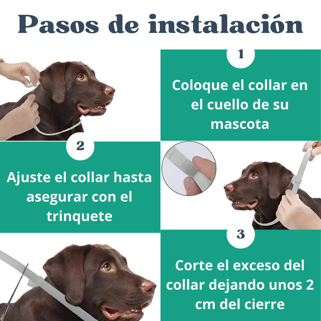 Collar Mascotas Anti Pulgas Parásitos Perro Gatos