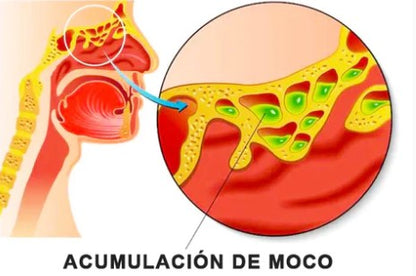 Gfouk Spray Limpiador Nasal