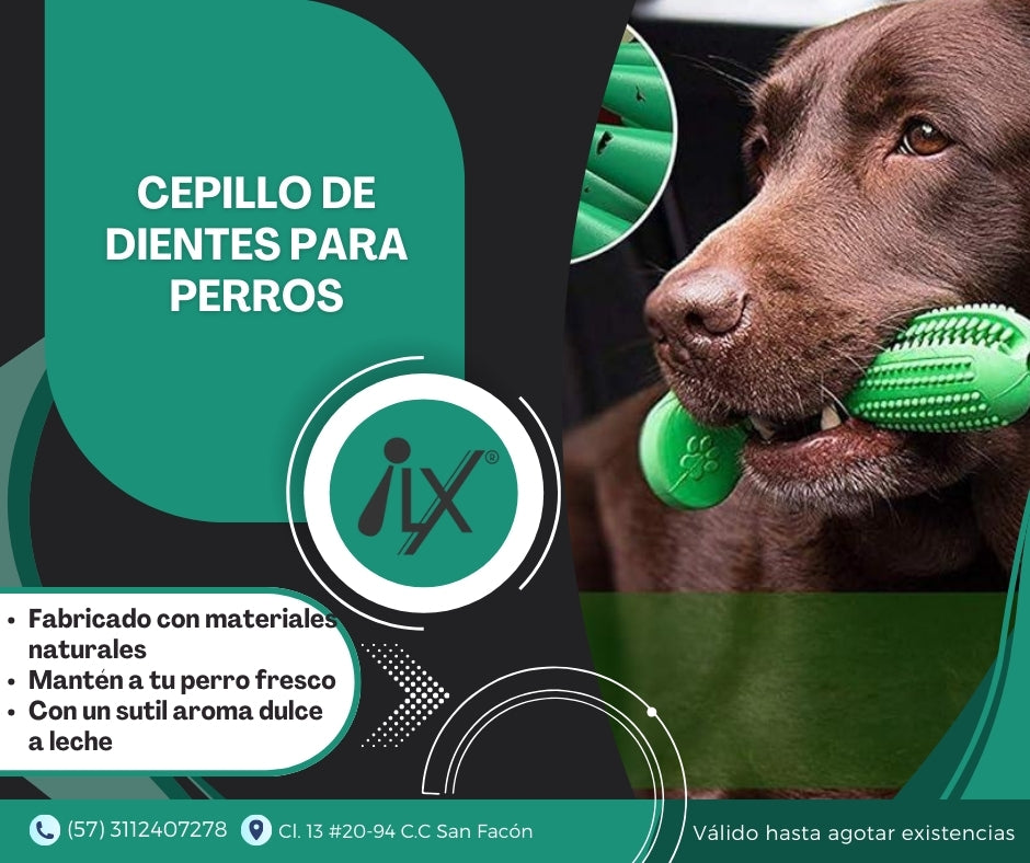 Cepillo de Dientes Para Perros Juguete Barra Limpieza Dental Color Verde