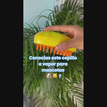 Cepillo de Vapor Para Mascotas - Perro - Gato